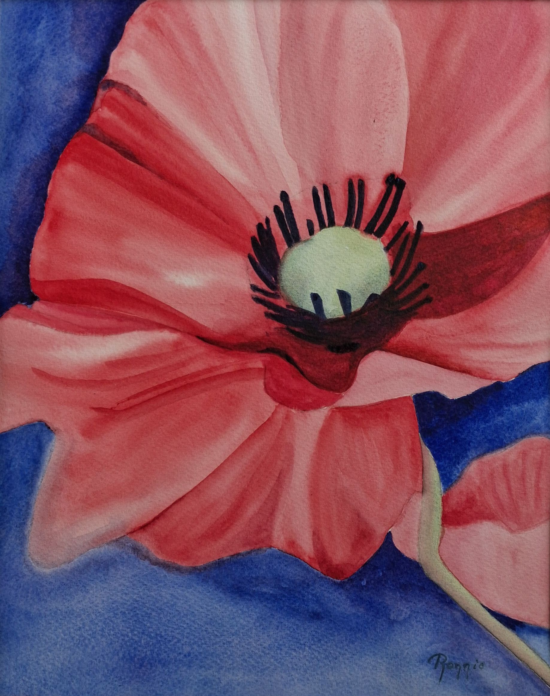 Aquarel van een roze bloem in zachte tinten met diepe blauwe achtergrond