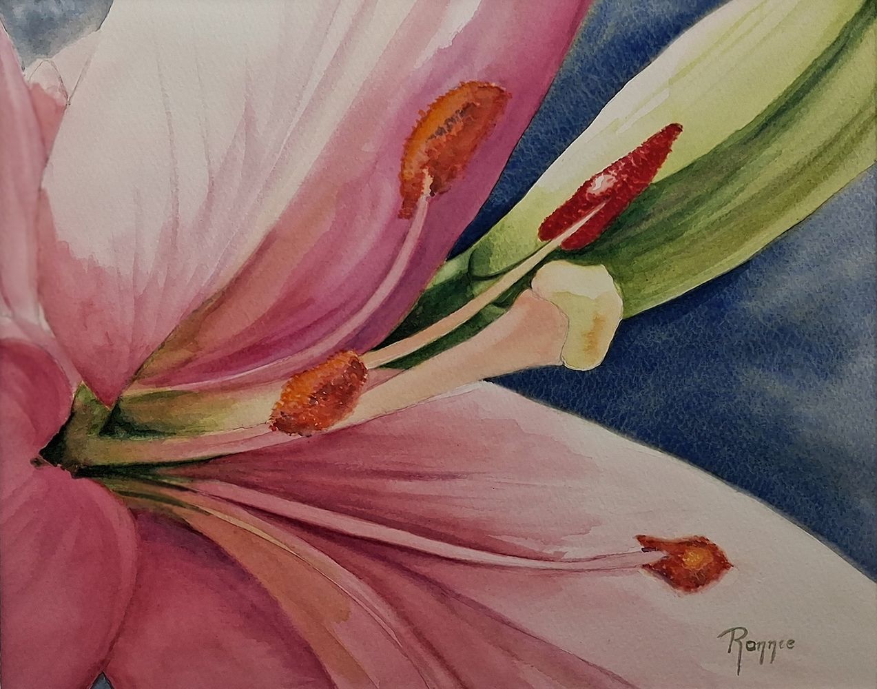 aquarel van het binnenste van een lelie