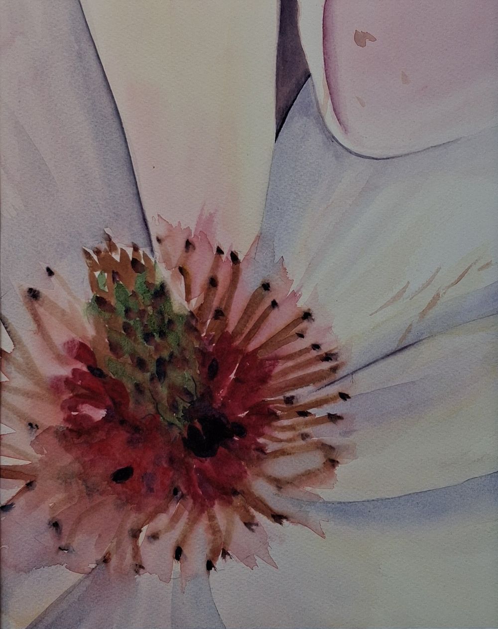 Kern van de magnolia in aquarel