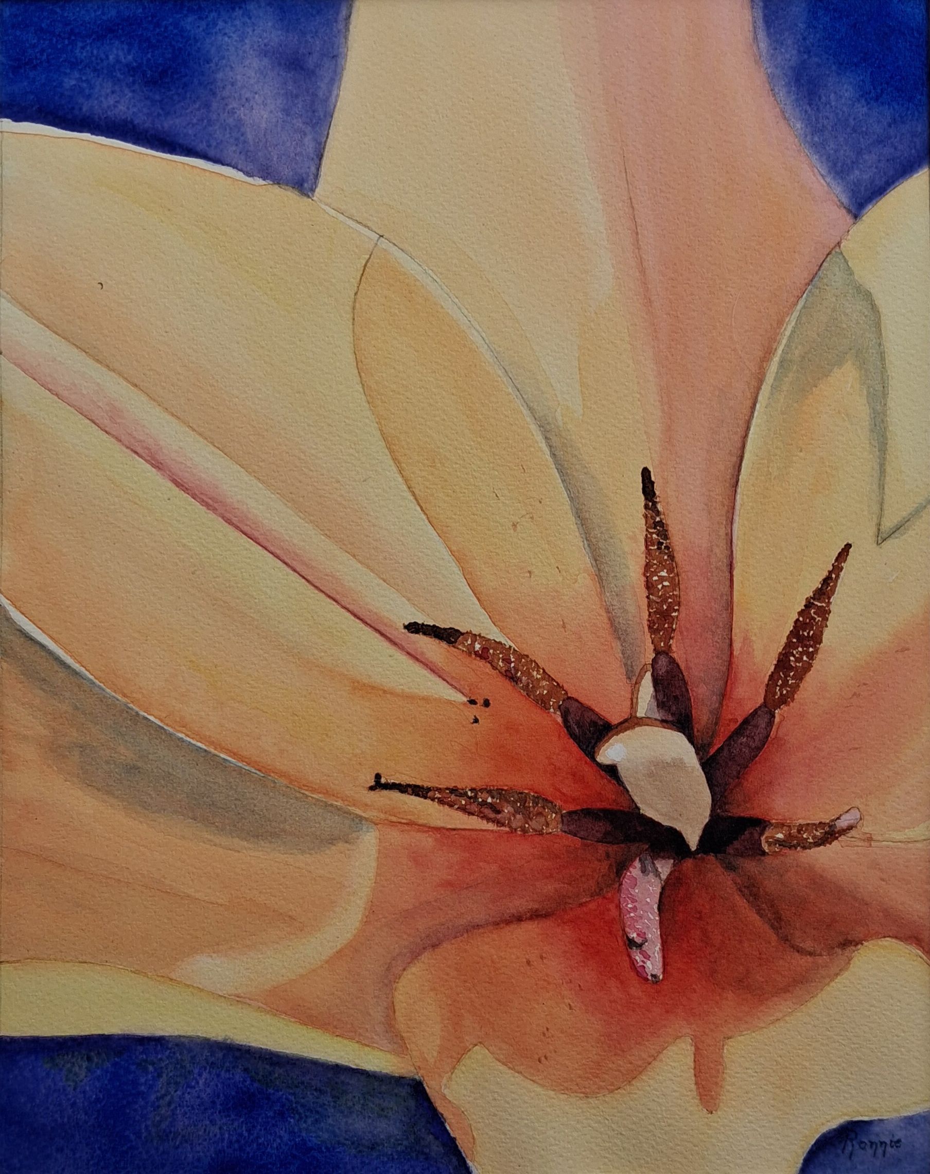 Kern van de tulp in aquarel