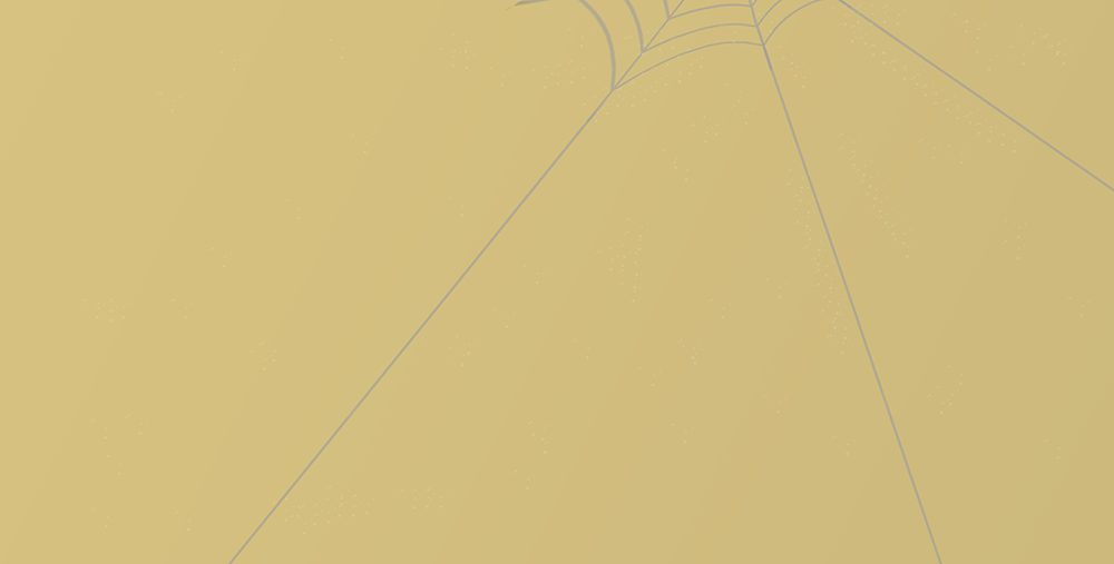 Wiesje en het geheim van de spiegel achterblad