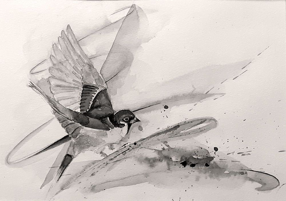 mus in aquarel