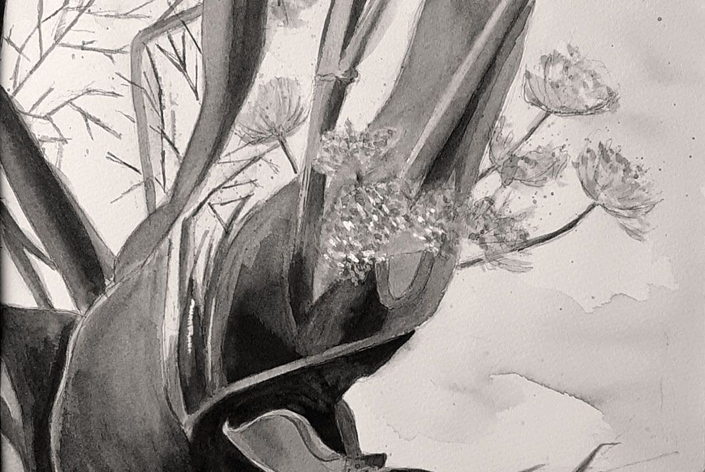 een aquarel van bladeren