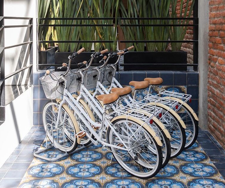 Hacienda Peña Pobre | Pet Friendly