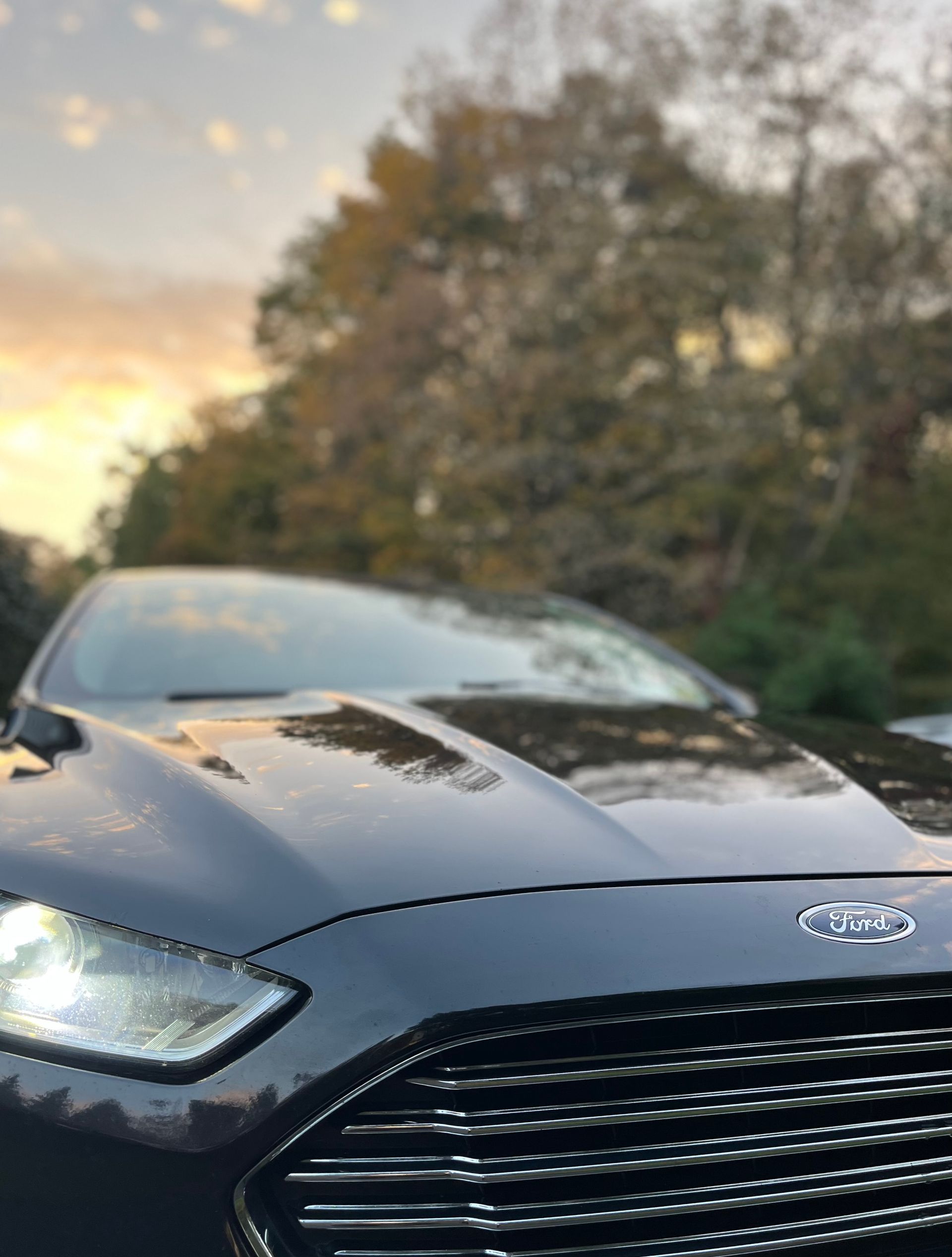 Paint Correction Service Project 03 in Vernon, NY