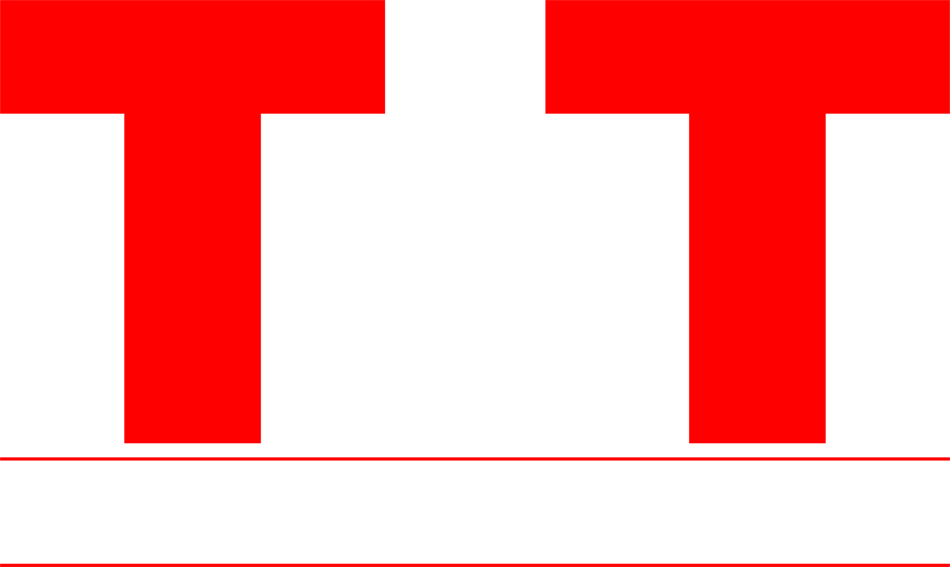 TNT Towing & Automotive Logo