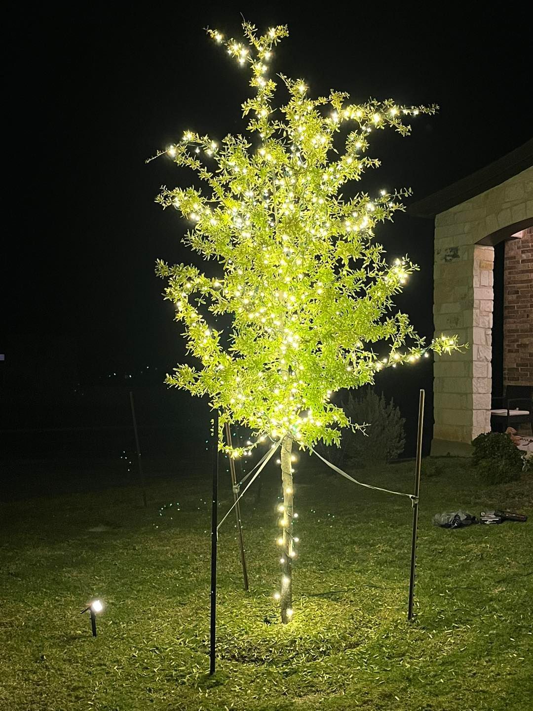 Tree wrapped in glowing string lights at night, in a grassy yard.