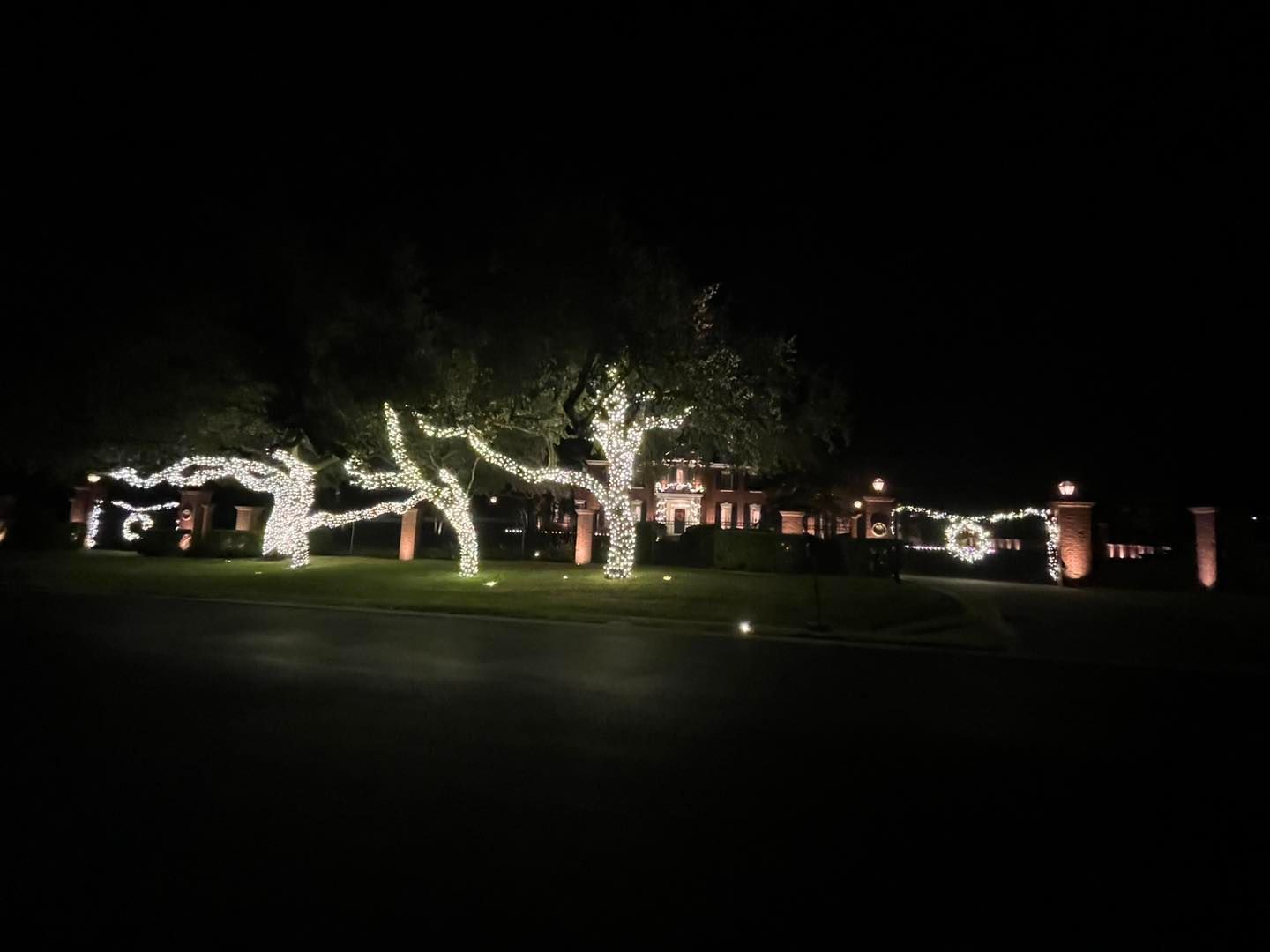 Trees and house decorated with white holiday lights at night.
