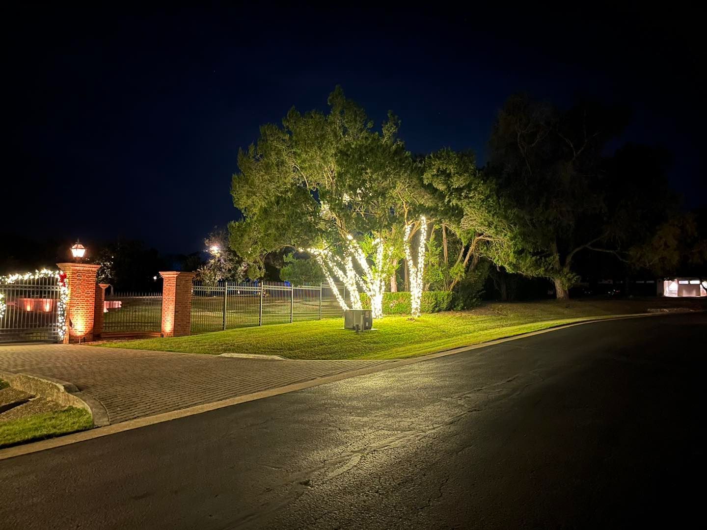 Night view of a driveway lit by lights. Birch tree is illuminated with string lights; brick pillars and road are lit as well.