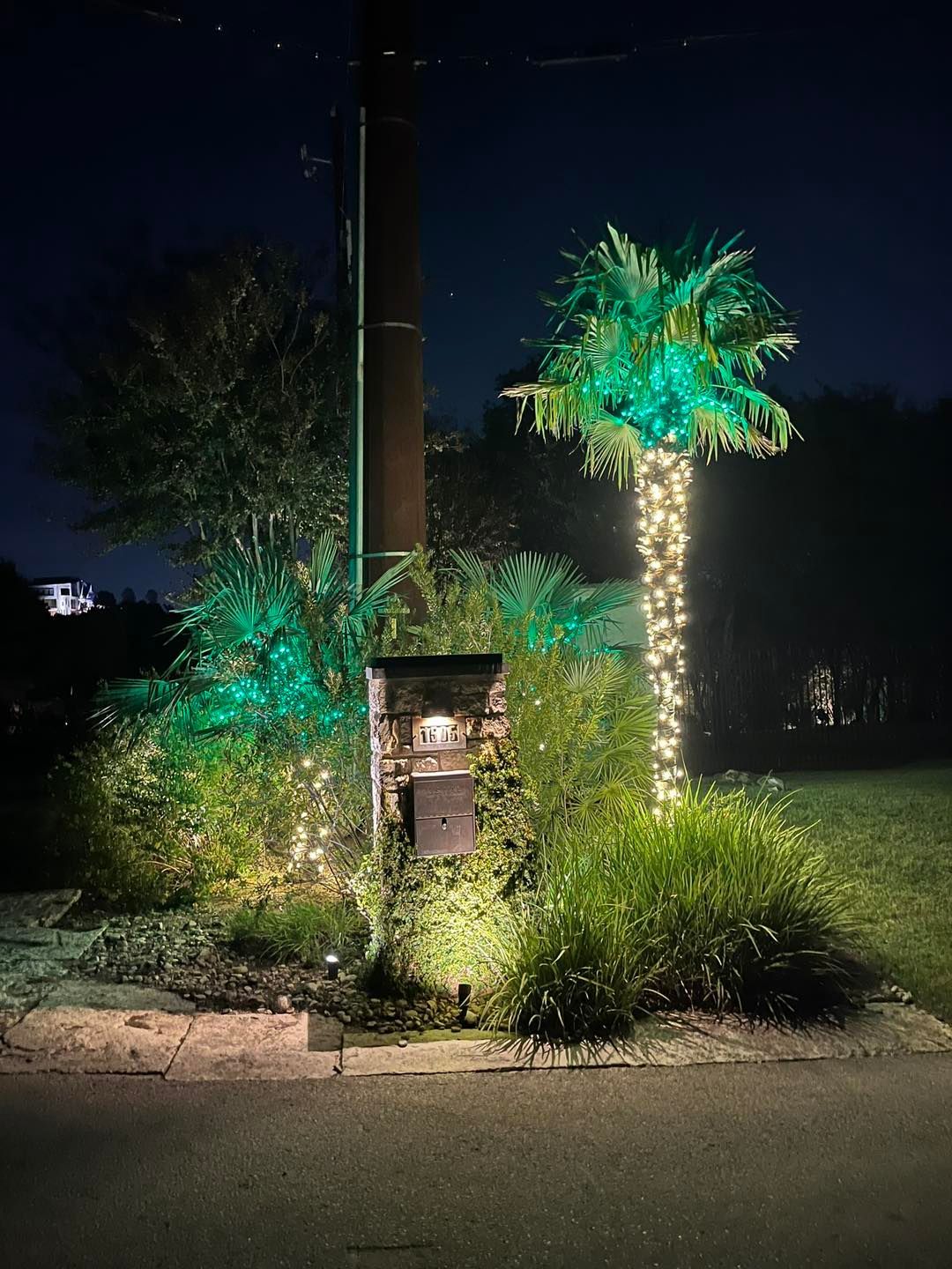 A palm tree and shrubs wrapped in white and green string lights at night.