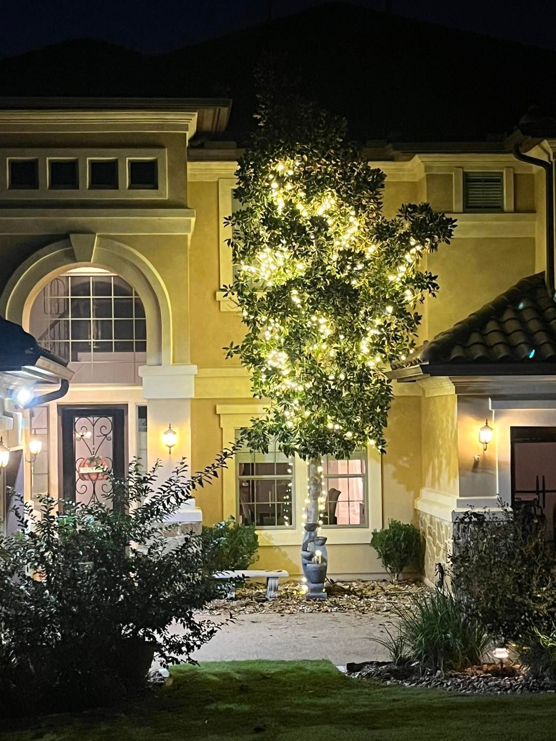 A tree illuminated with string lights in front of a house at night; the house is tan with an arched front door.
