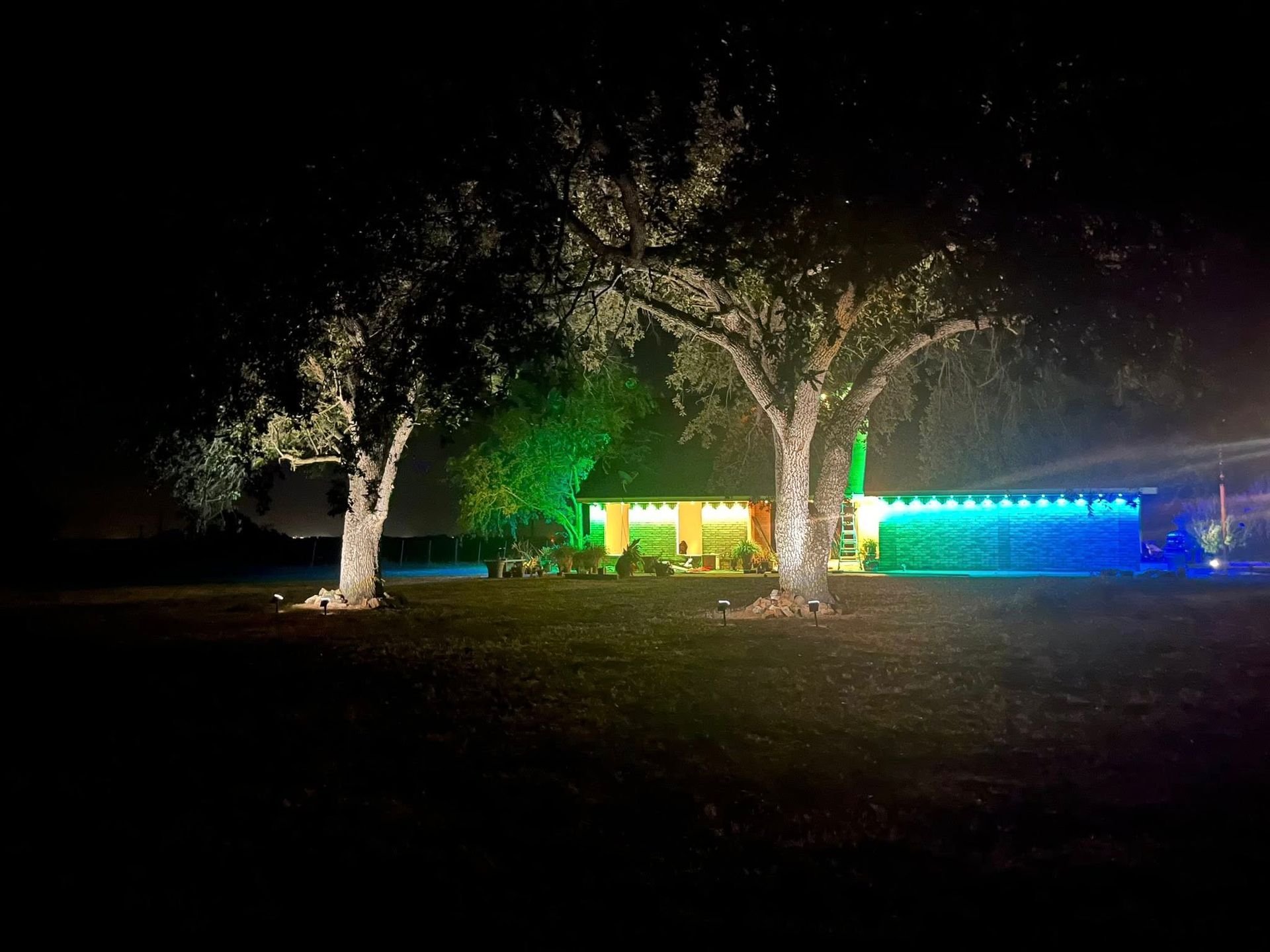 House at night with green, blue, and white lights, trees in front.
