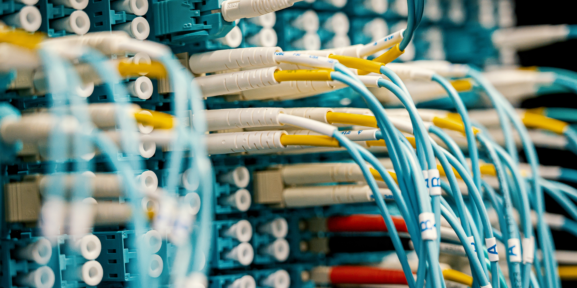 Close-up of network cables, white and yellow cables in a server room.