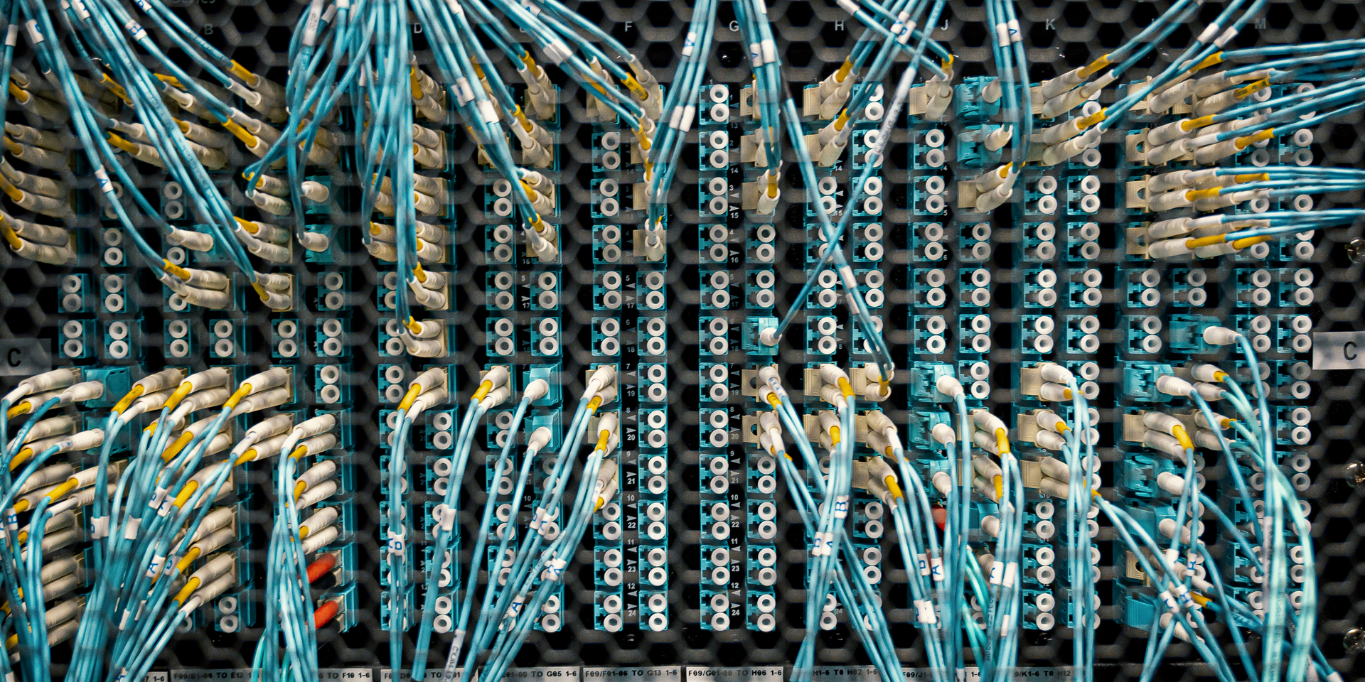 Close-up of a server room with numerous blue and yellow network cables connected to a panel with numbered ports.