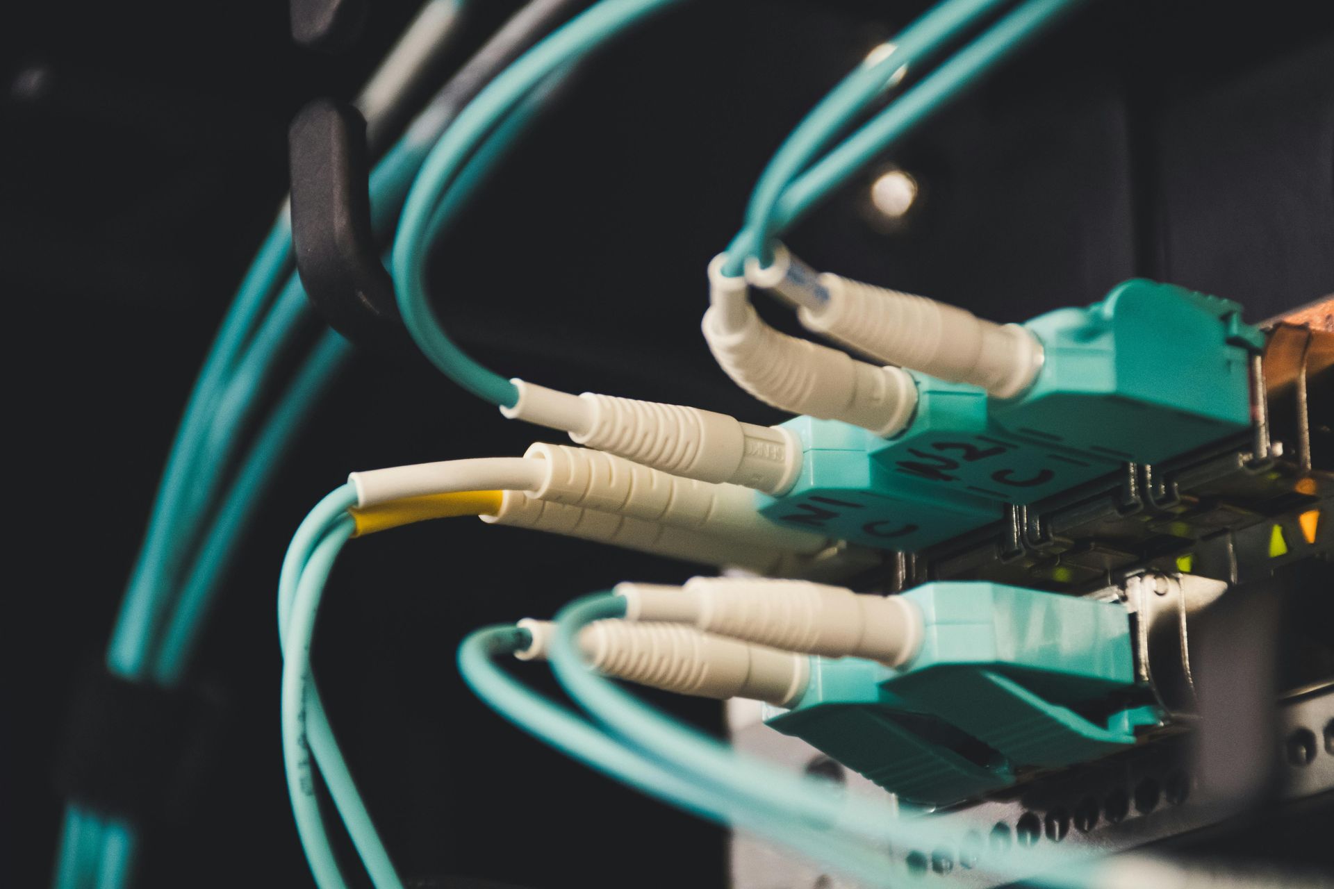 Close-up of fiber optic cables plugged into a server. Light blue and beige cords with green connectors.