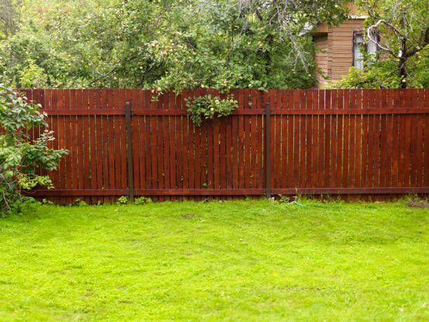 A wooden fence surrounds a lush green lawn in a backyard.