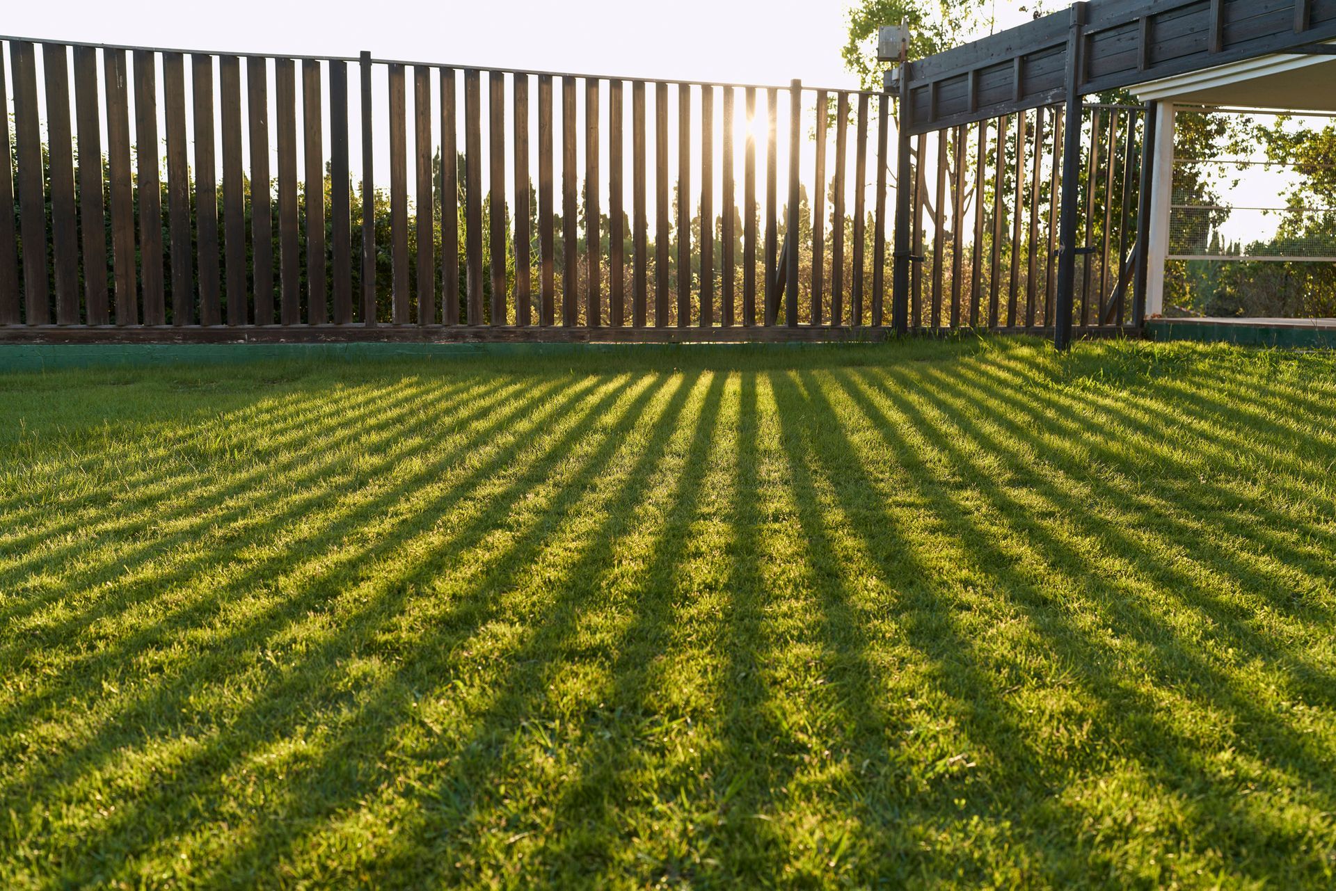 The sun is shining through the fence and casting shadows on the grass.