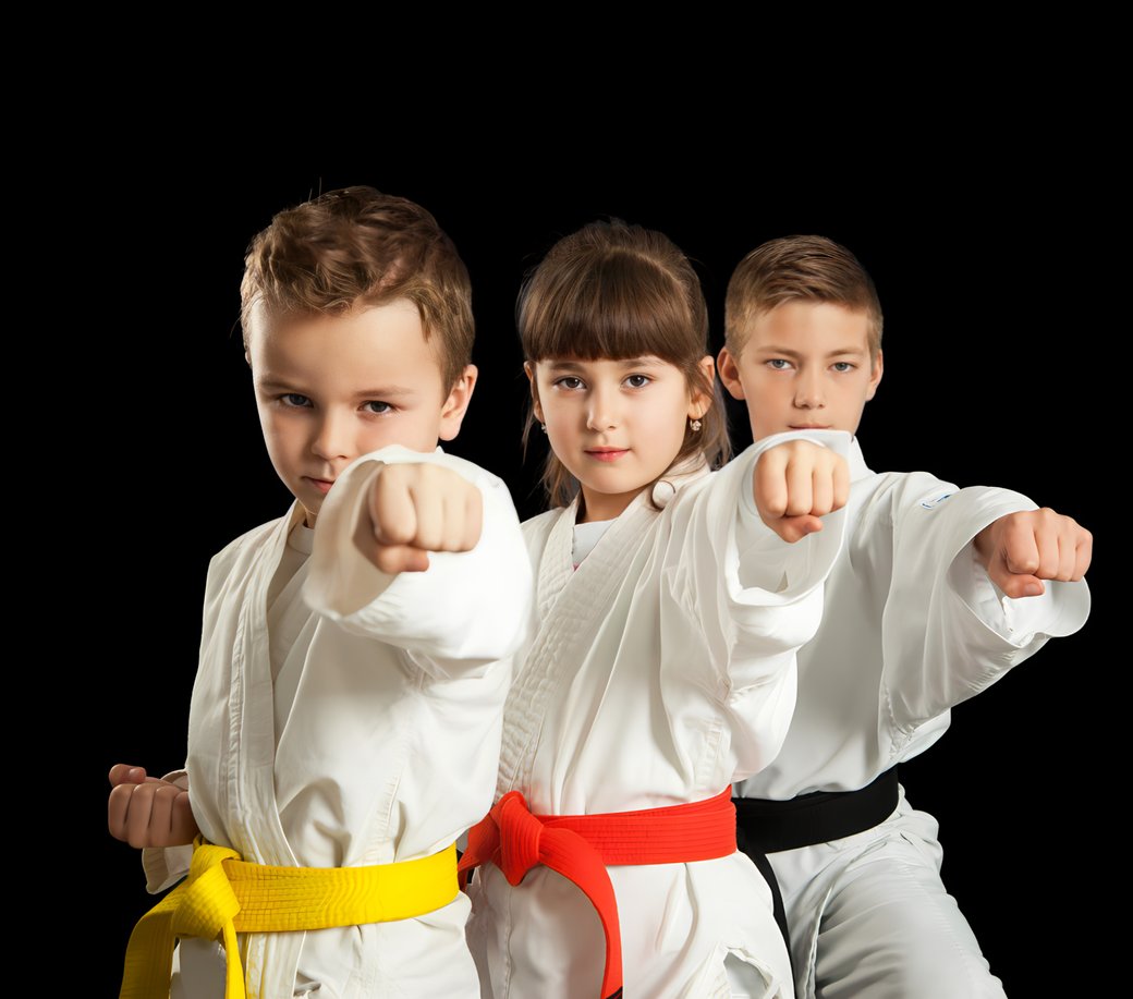 Adult Martial Arts
