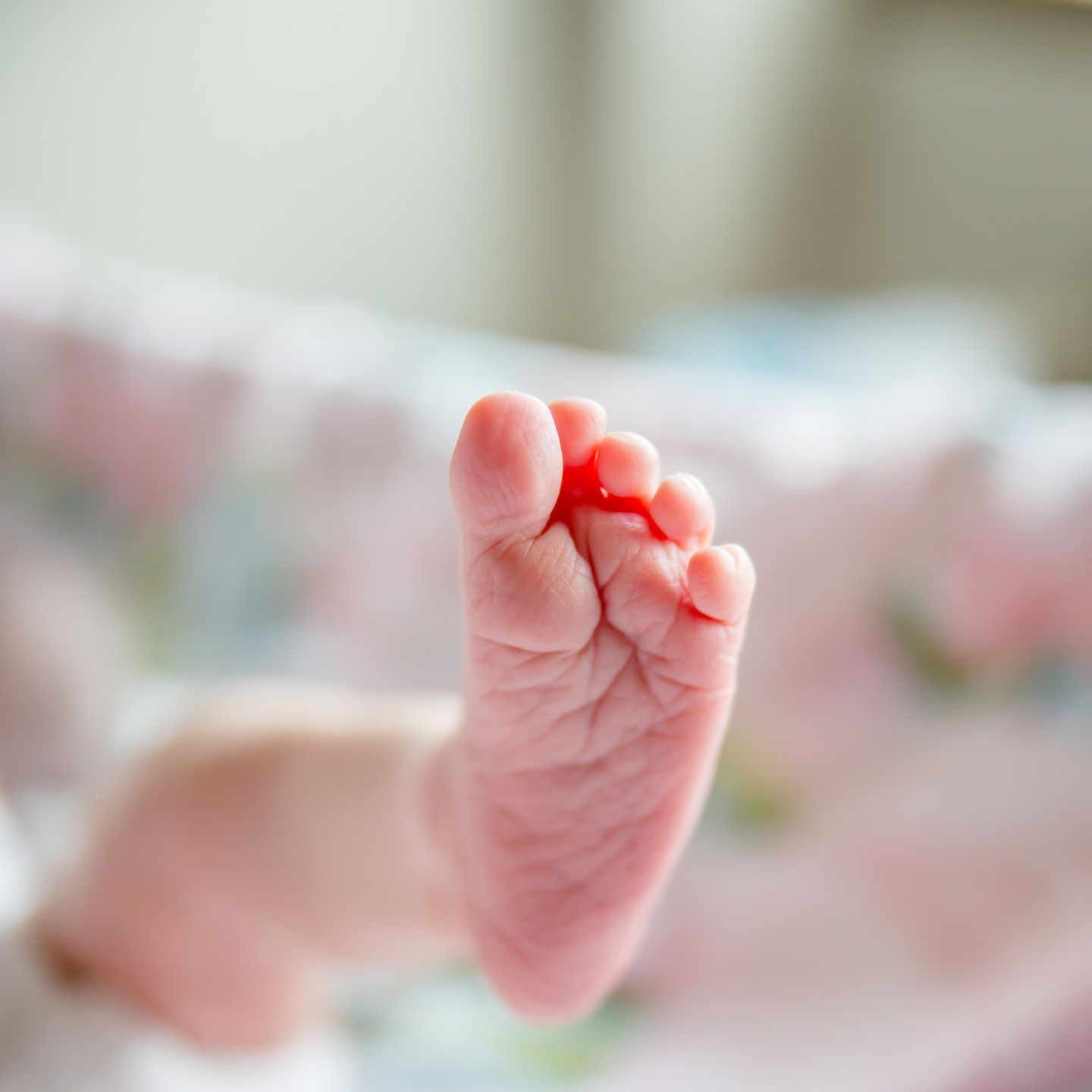 Close-up of a baby's pink foot, visible toes, blurred background.