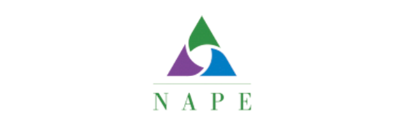 A logo for napa with a green purple and blue triangle