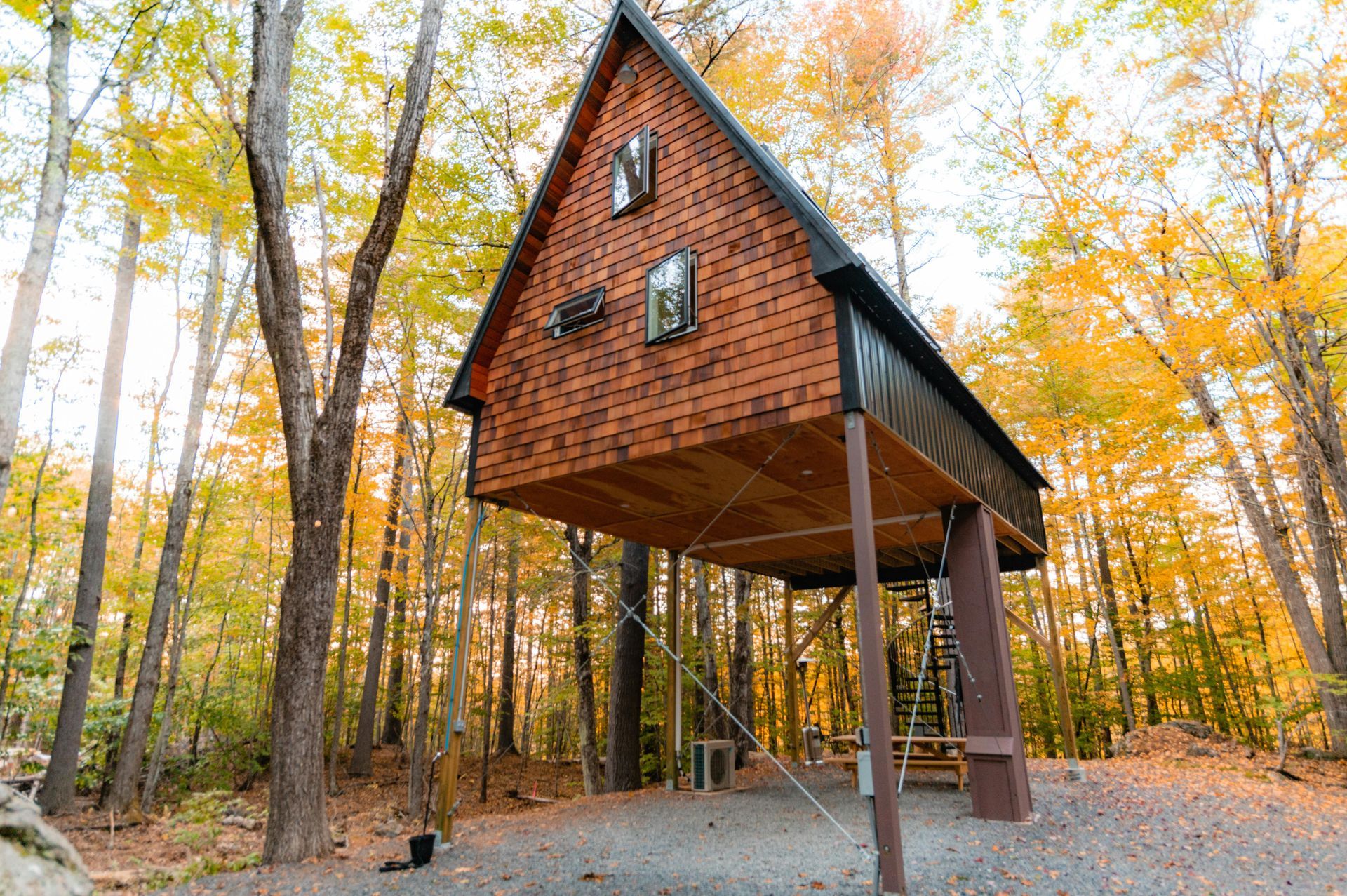 Treehouse cabin in autumn woods. Wooden structure with dark roof, supported by posts and ladder.
