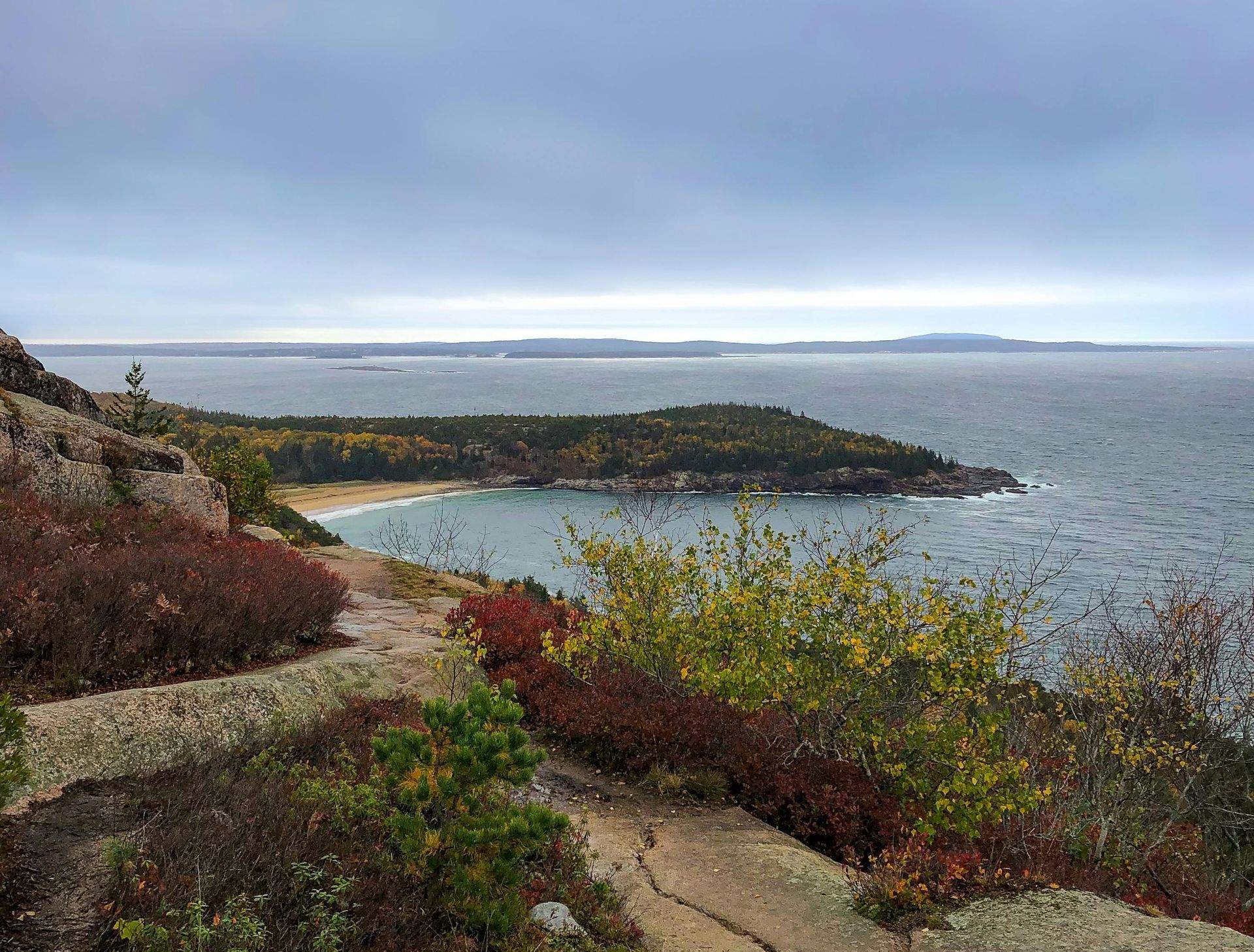Coastal view: rocky path, colorful bushes, sandy beach, ocean, gray sky.