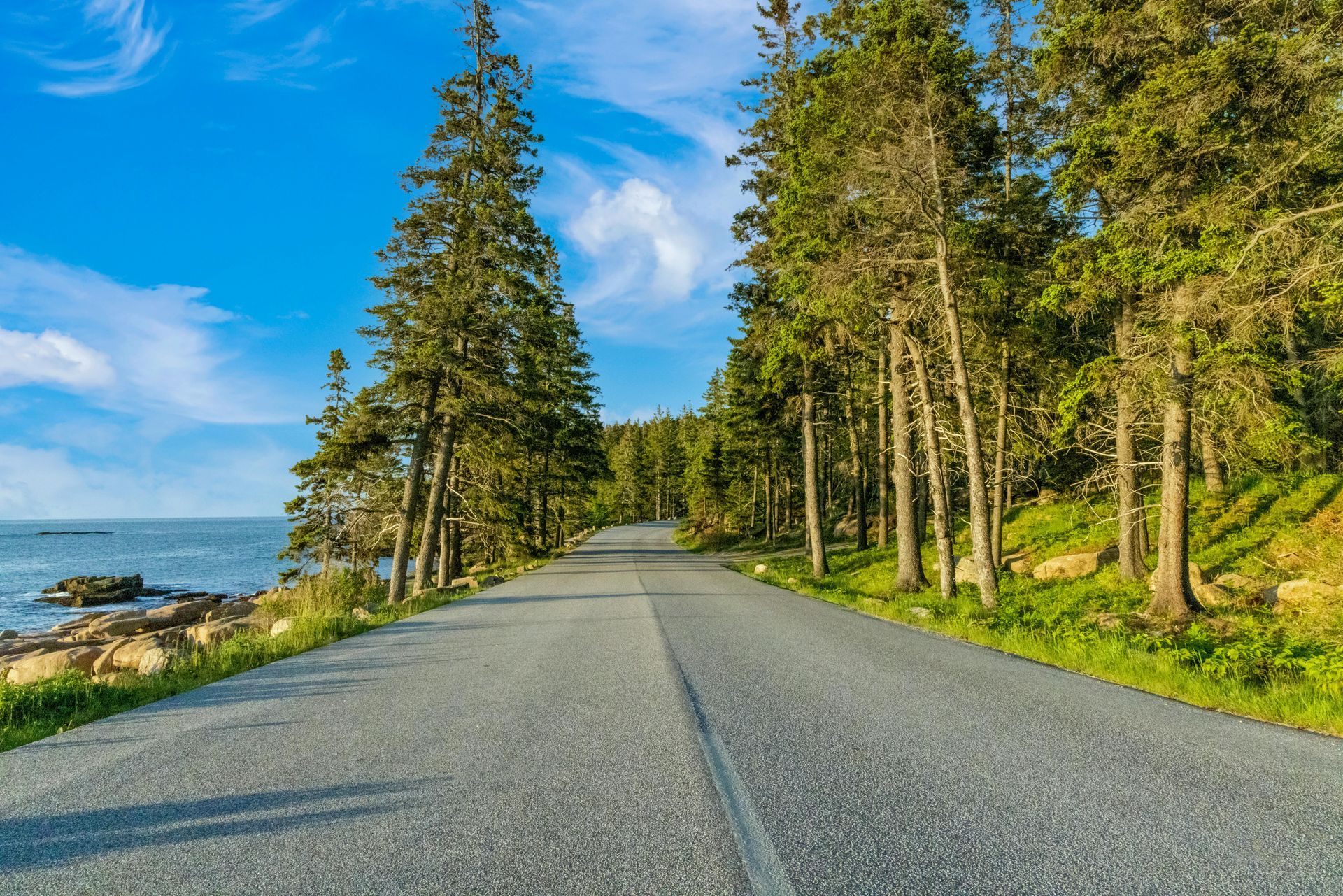Road winds through trees towards the sea under a blue sky.