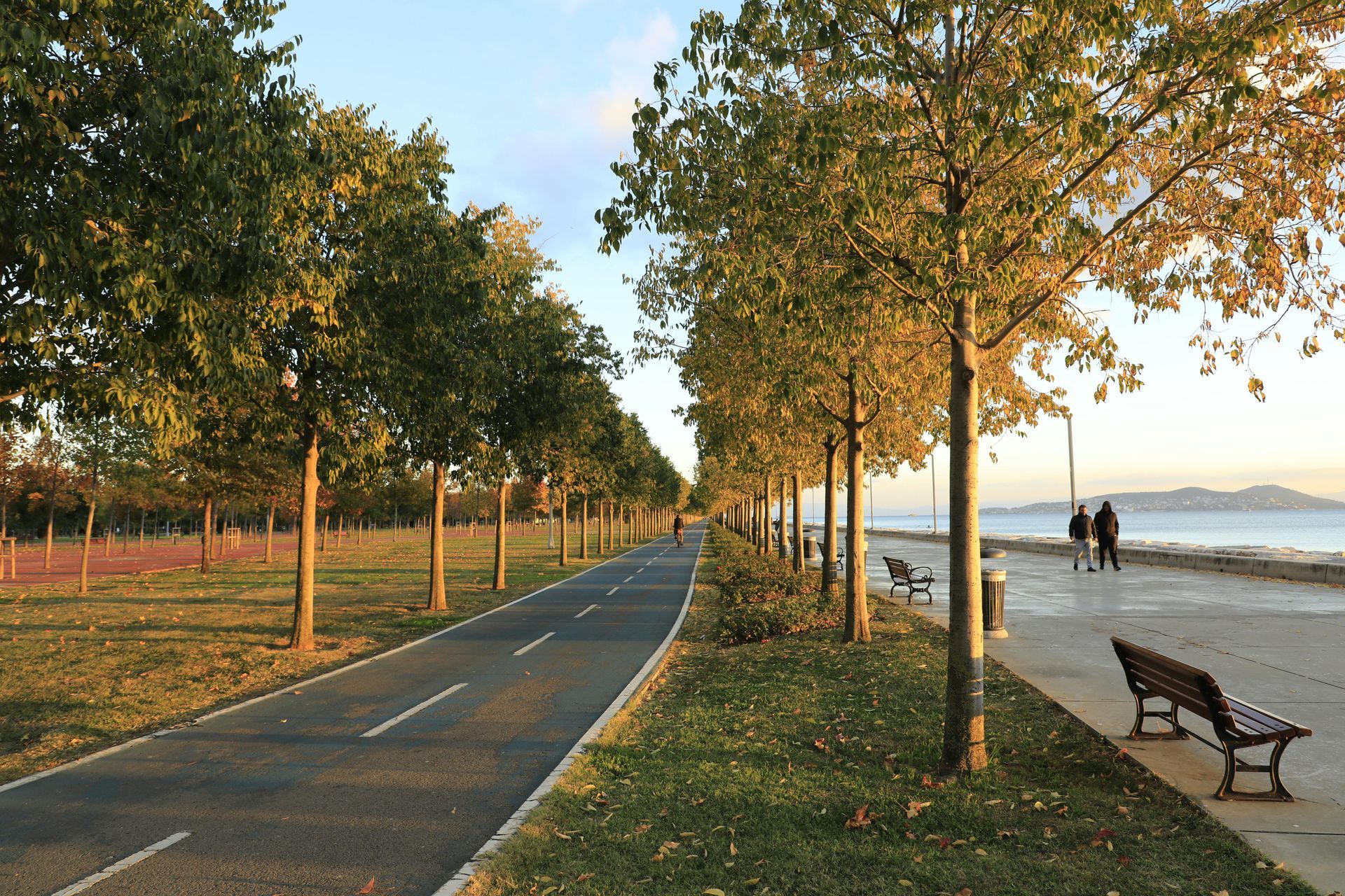 Pathway lined with trees, near a waterfront, with benches and people walking.