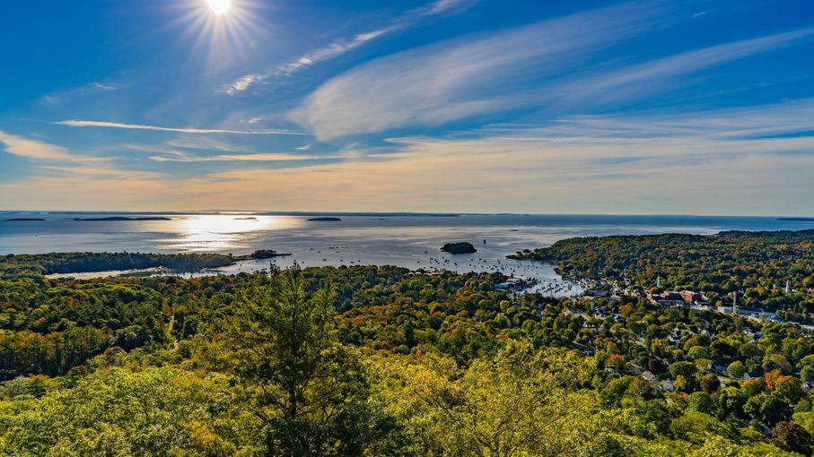 A sunny view from a forest over a bay with islands under a blue sky.