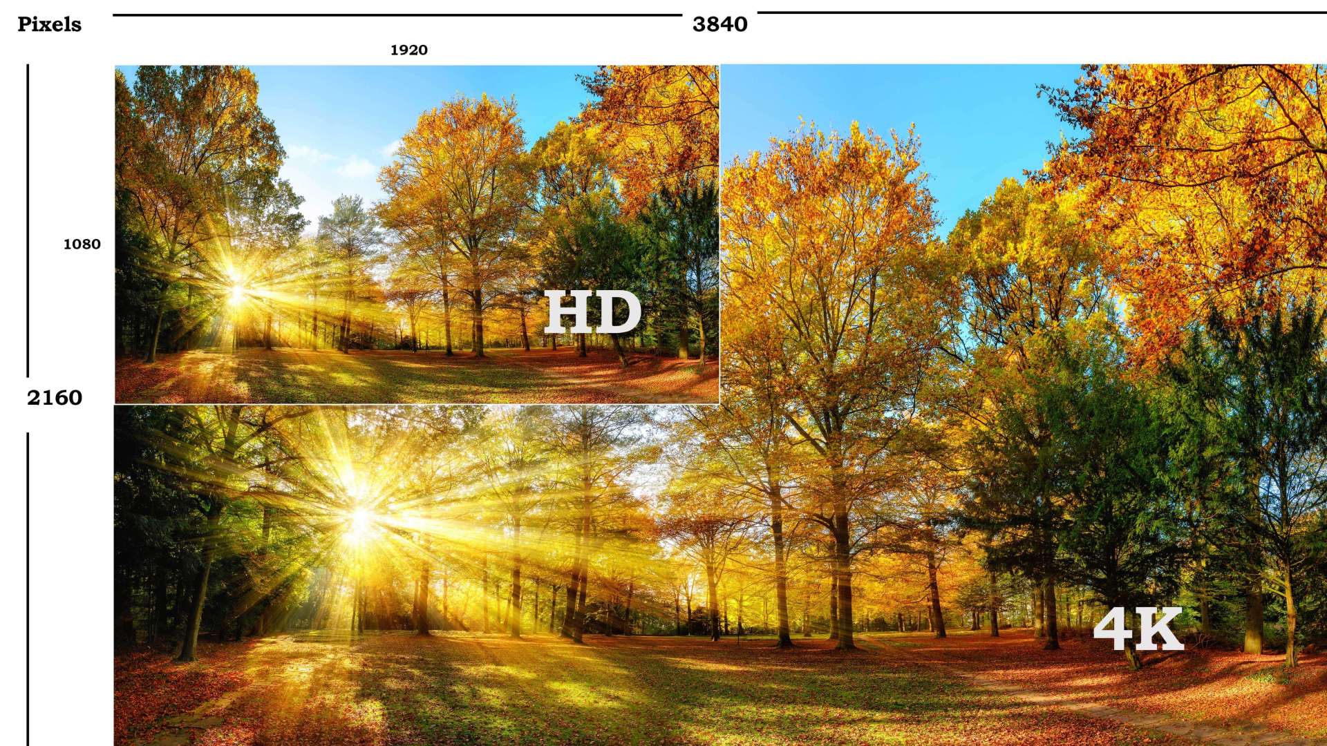 4K vs HD Cameras