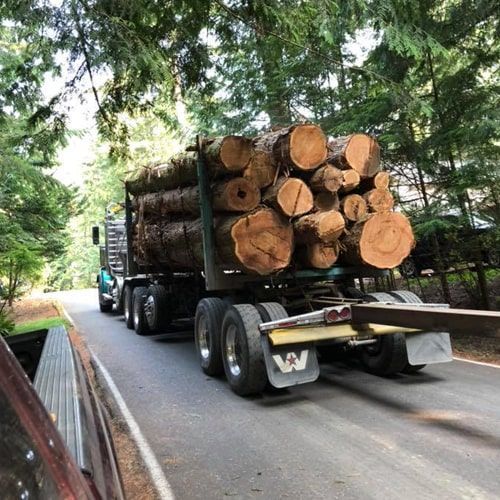 A truck is carrying logs down a road.