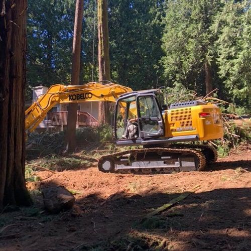 A yellow excavator is cutting down trees in a forest.