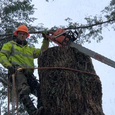 A man is cutting a tree stump with a chainsaw.