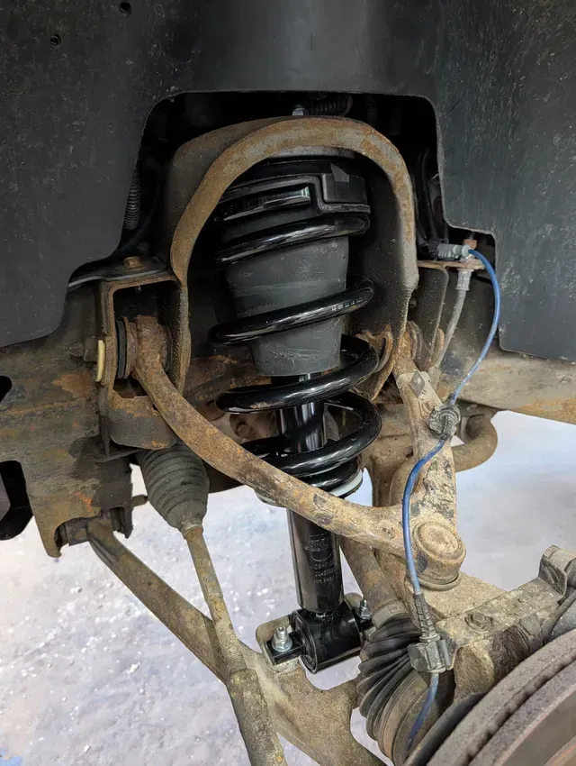 Rear Suspension Spring And Control Arm | Treadlogic