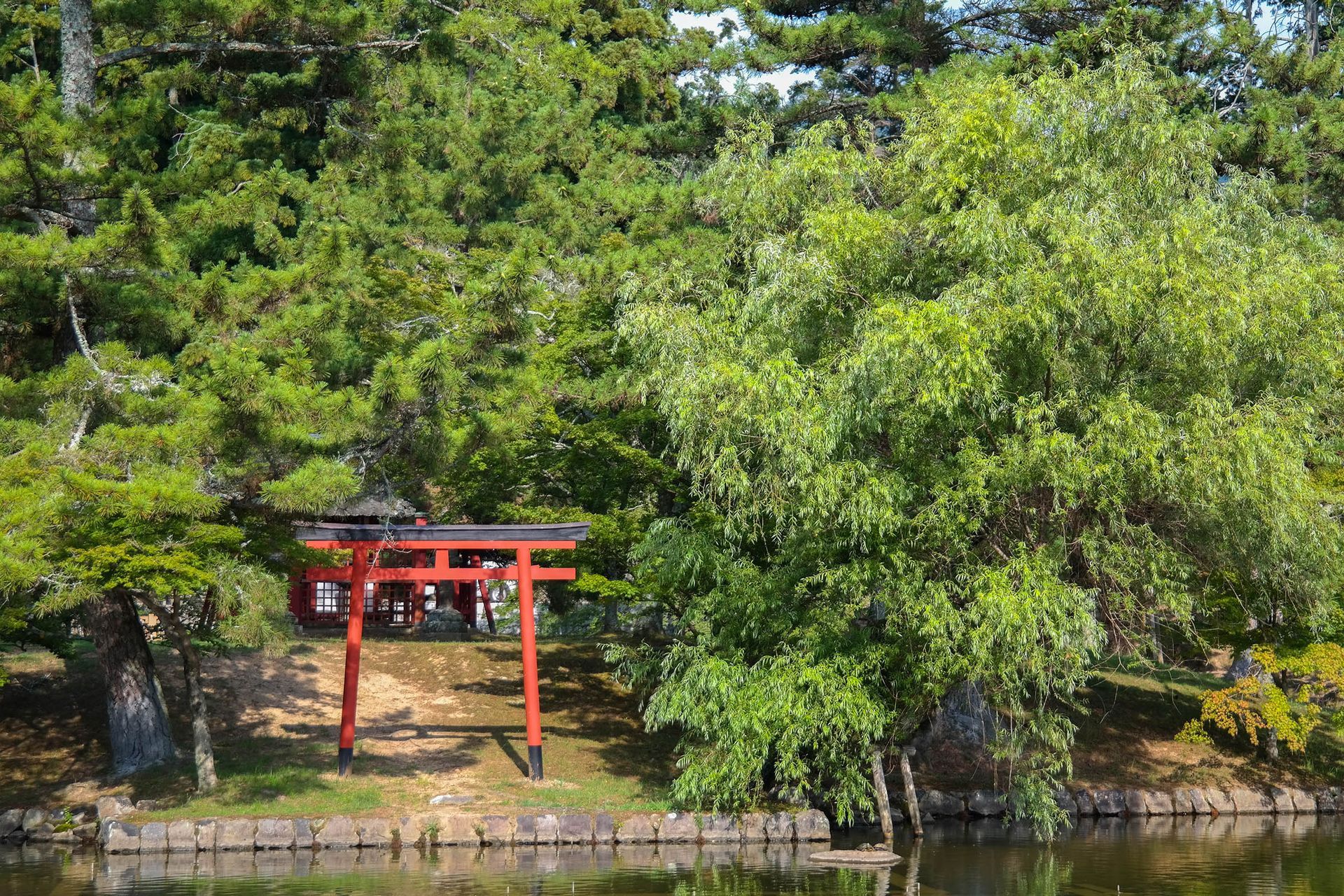 Rotes Torii-Tor in einer japanischen Gartenanlage mit grünen Bäumen und einem Gewässer.