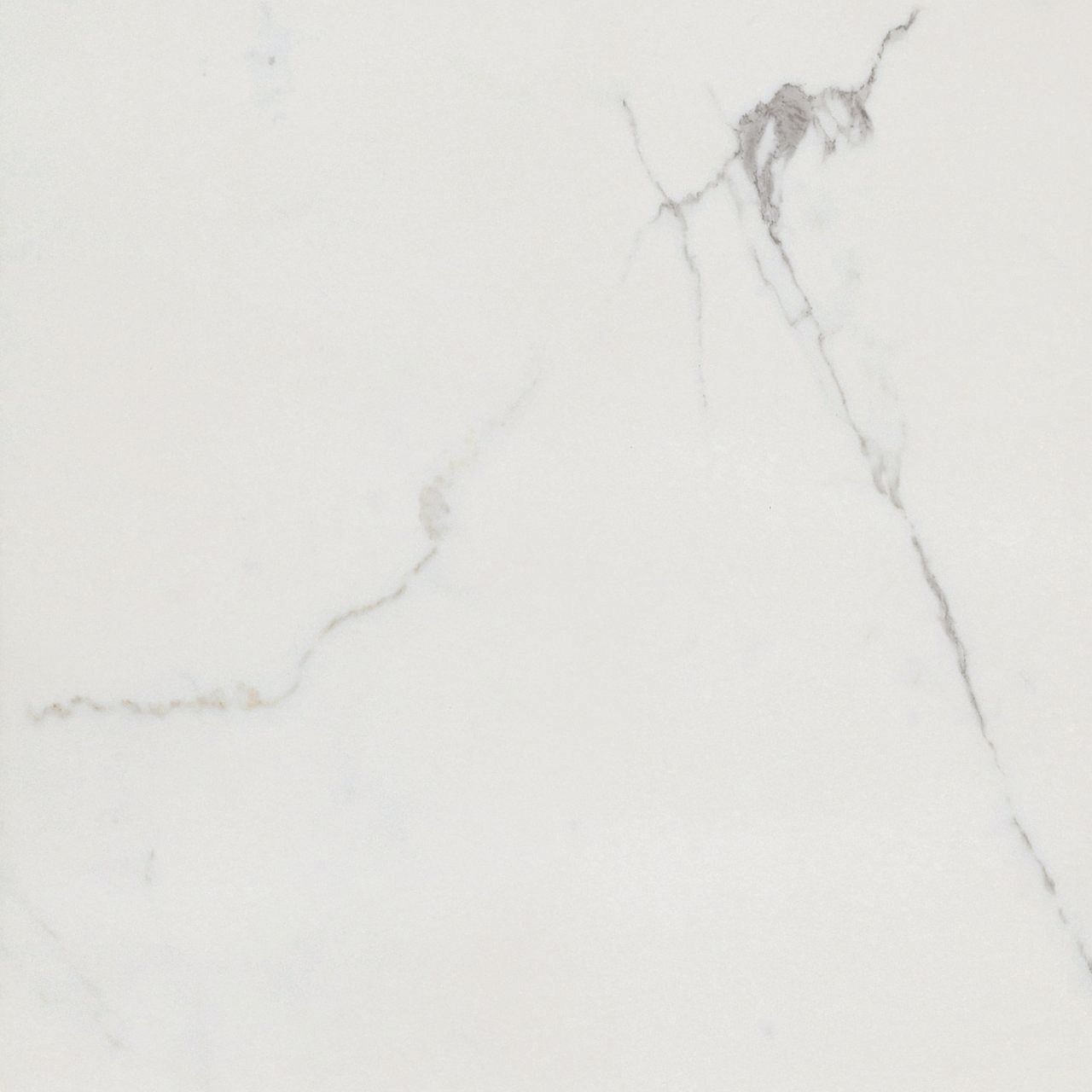 Timeless Calacatta Lucido tile