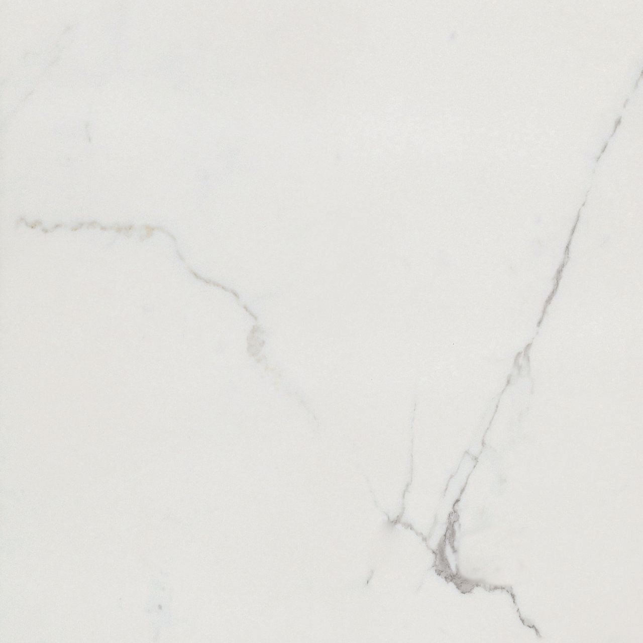 Timeless Calacatta Natural tile