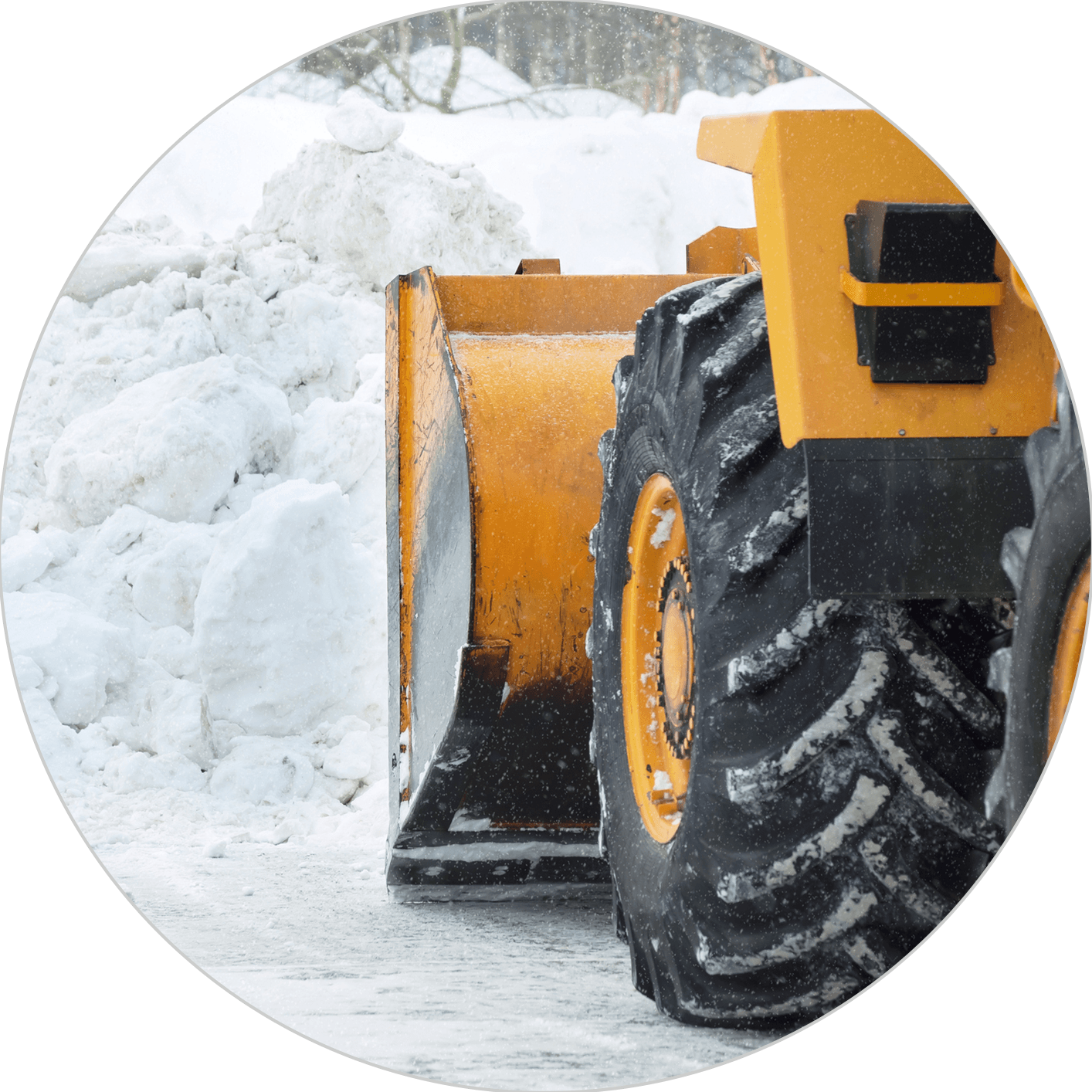 Tree & Snow Removal Company Madison, Middleton Sun Prairie WI Stump