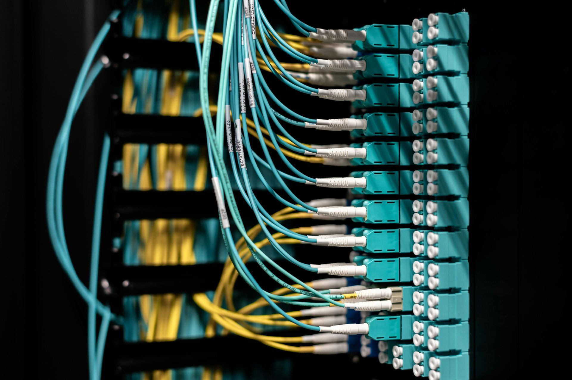 Close-up of a server rack with numerous fiber optic cables connected to teal modules.