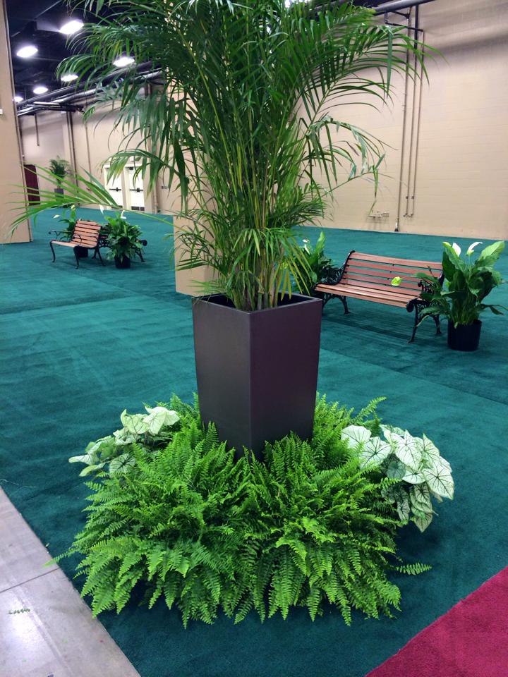 a large potted palm tree is surrounded by ferns and flowers in a room
