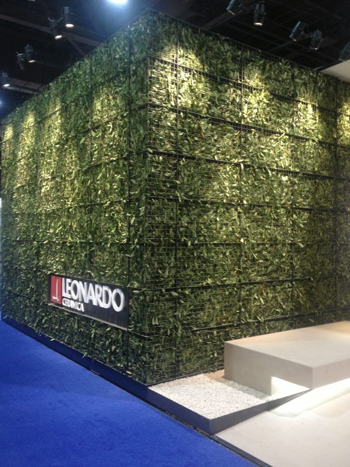 a green wall with a sign that says leonardo on it