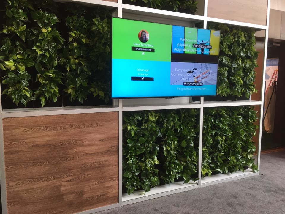a tv is mounted on a wall surrounded by plants