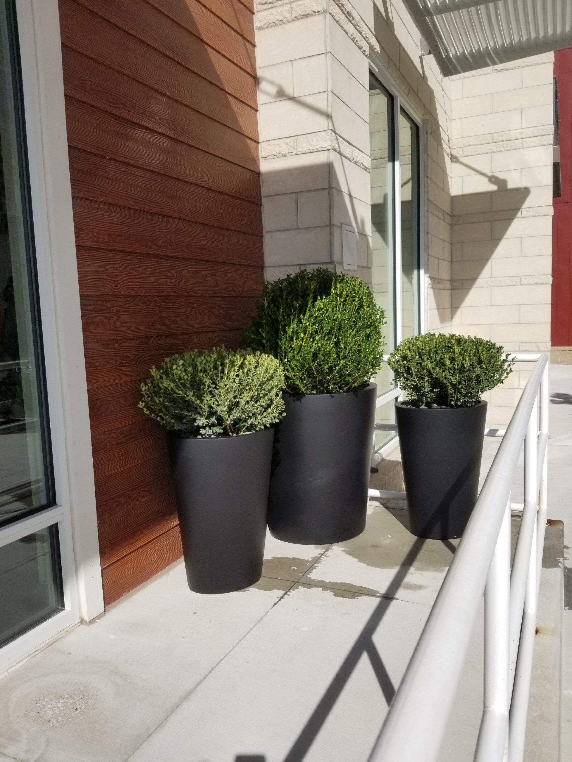 three potted plants are sitting on a sidewalk in front of a building