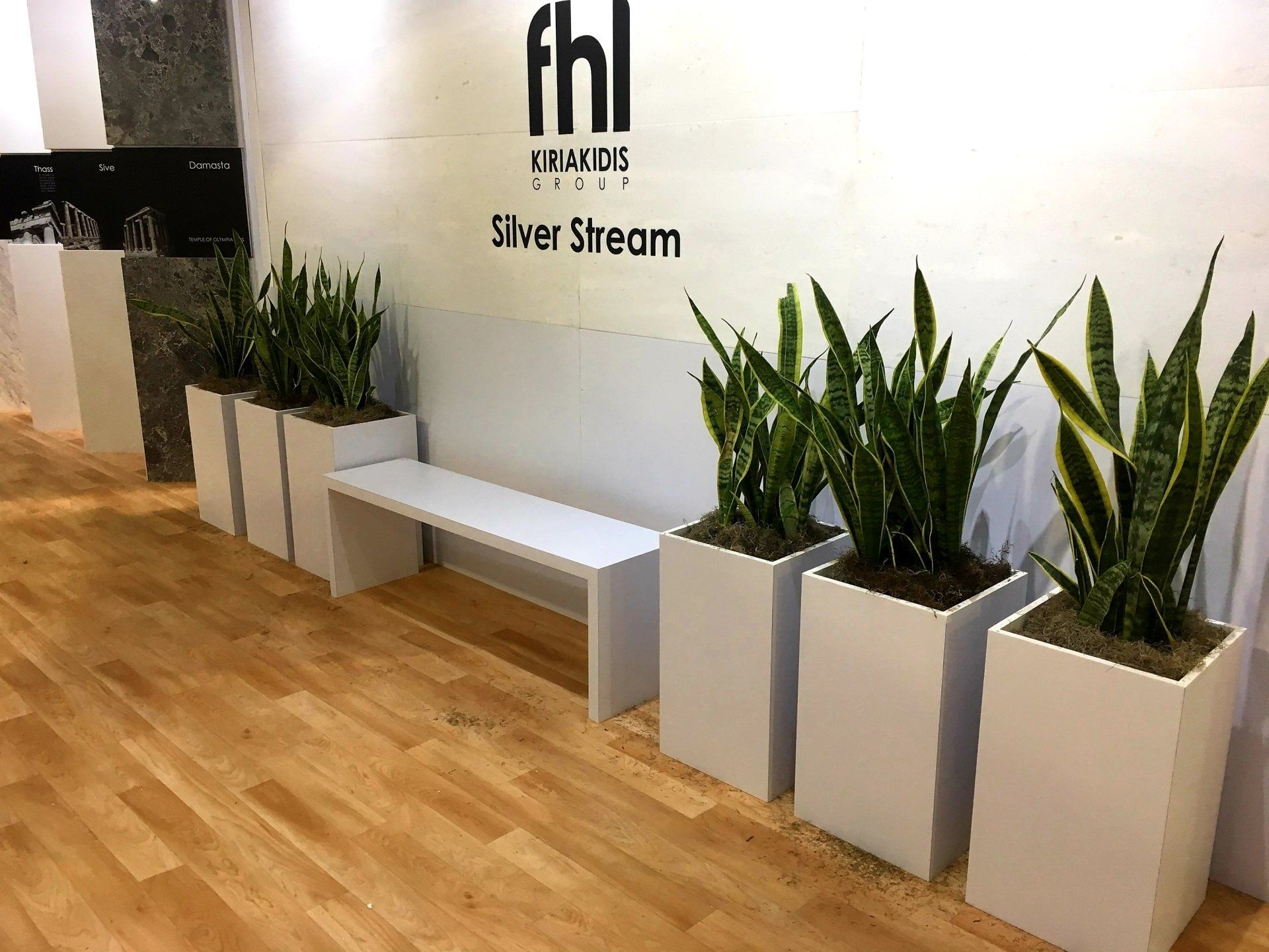 a row of white potted plants are sitting on a wooden floor next to a bench