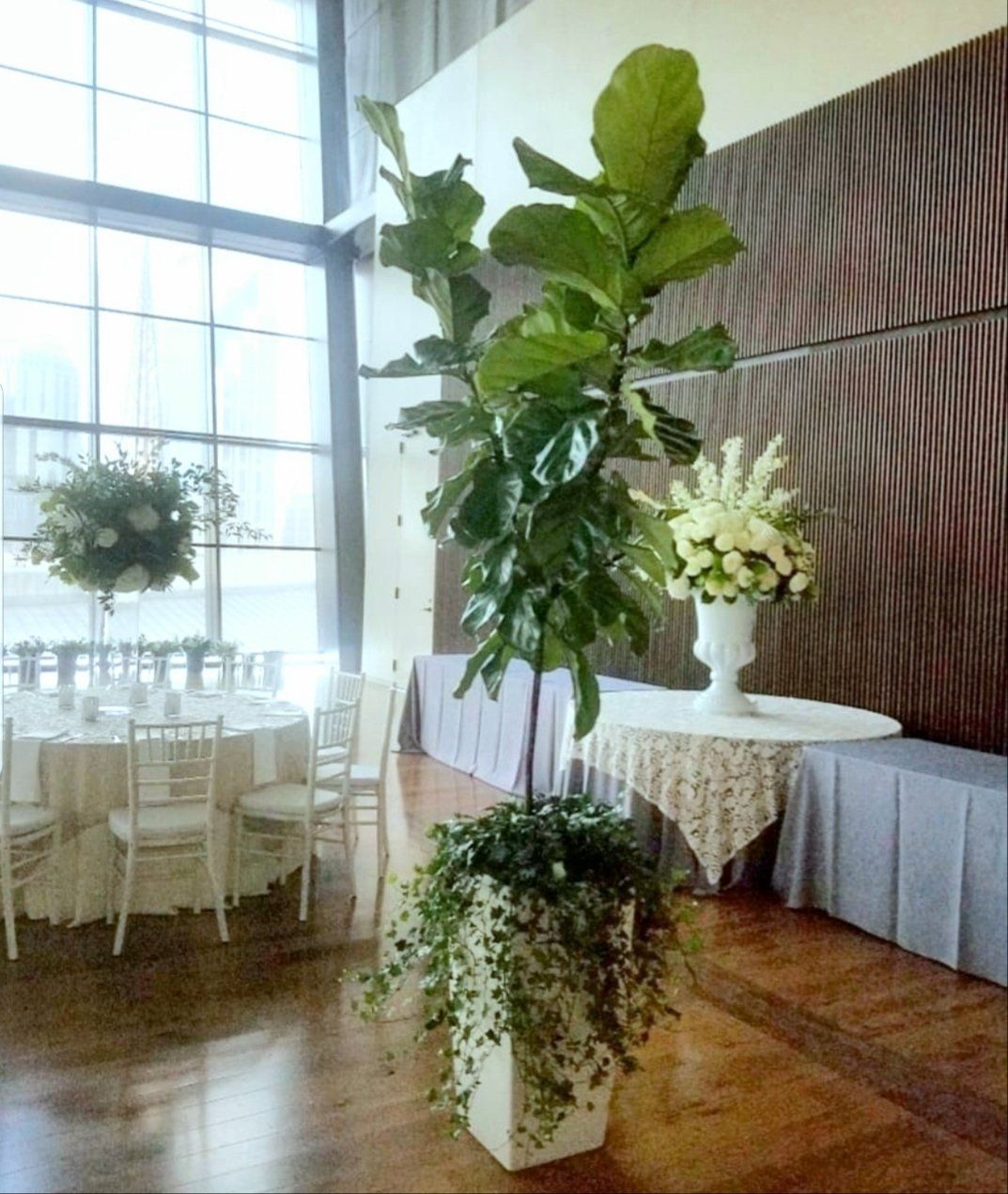 a room with tables and chairs and a plant in the middle