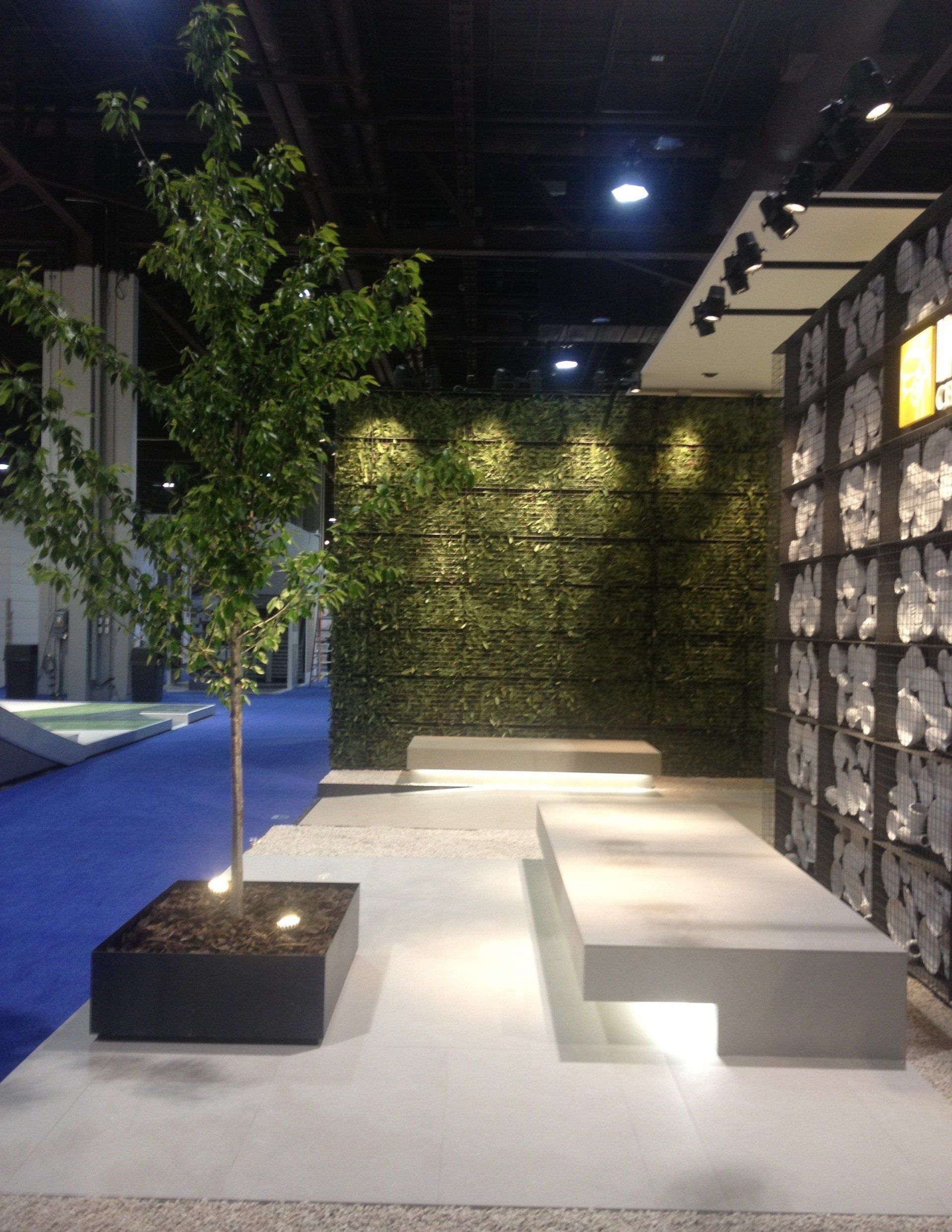 a room with a tree in the middle of it