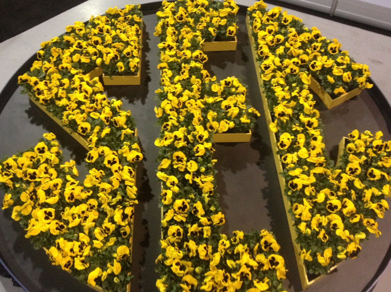 the letter e is made out of yellow flowers