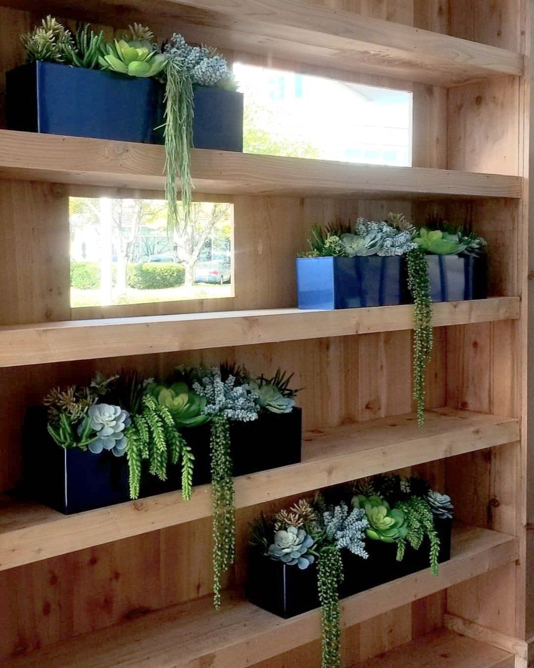 a wooden shelf with lots of potted plants on it