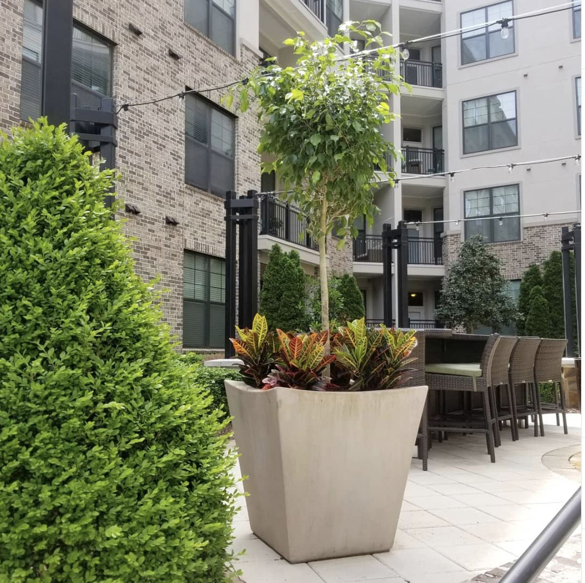 a large potted plant is sitting in front of a building