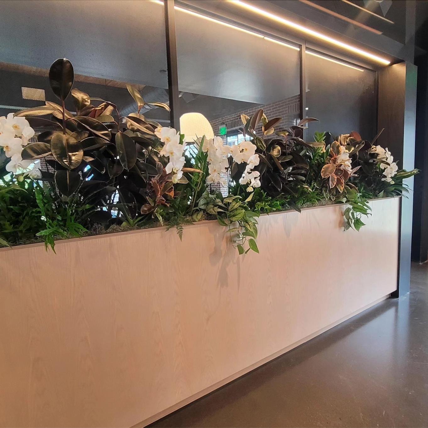 a long planter filled with plants and flowers in a room